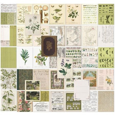 49 and Market - Color Swatch Grove Collage Sheets