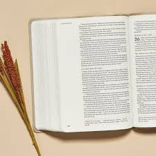 CSB She Reads Truth Bible, Hardcover