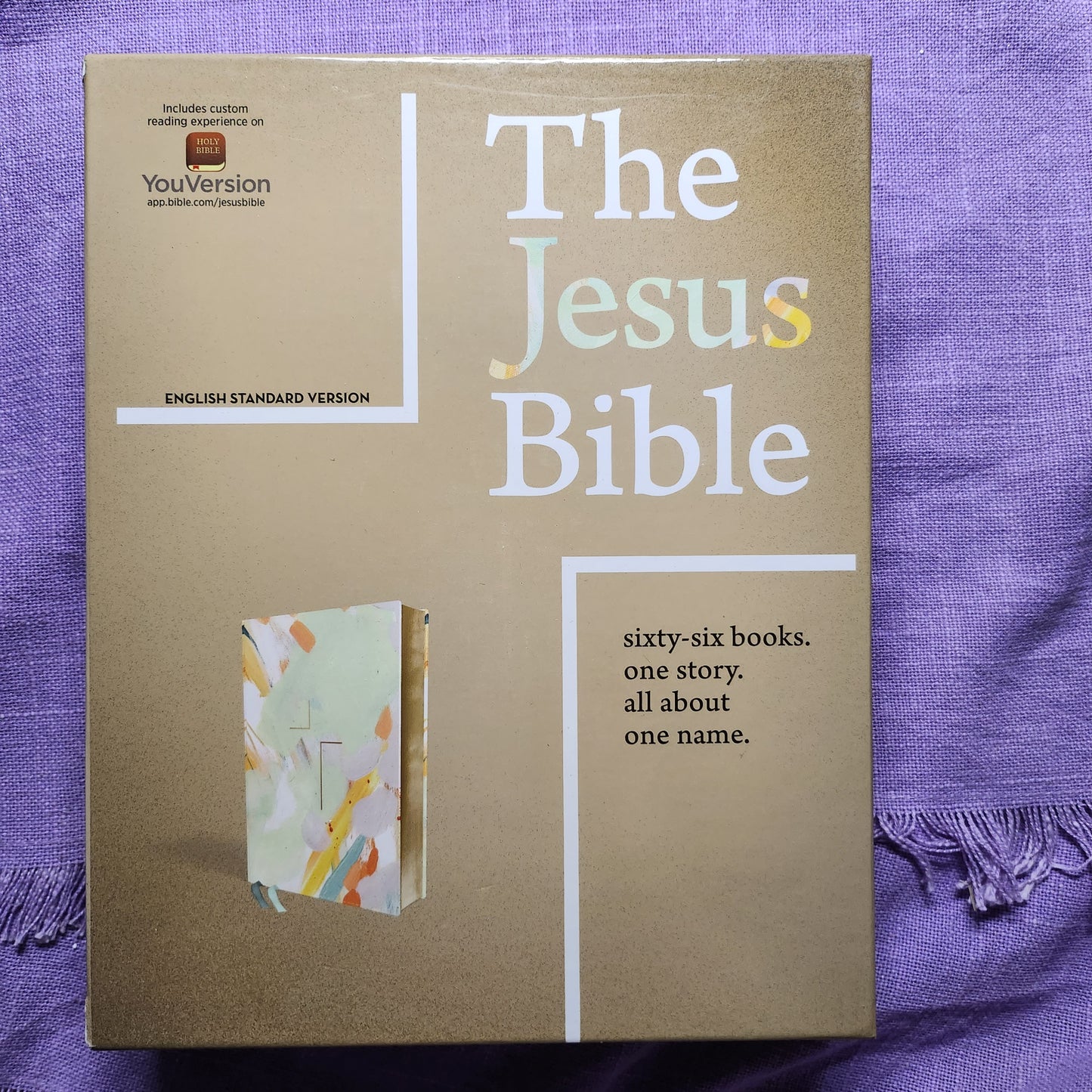 The Jesus Bible