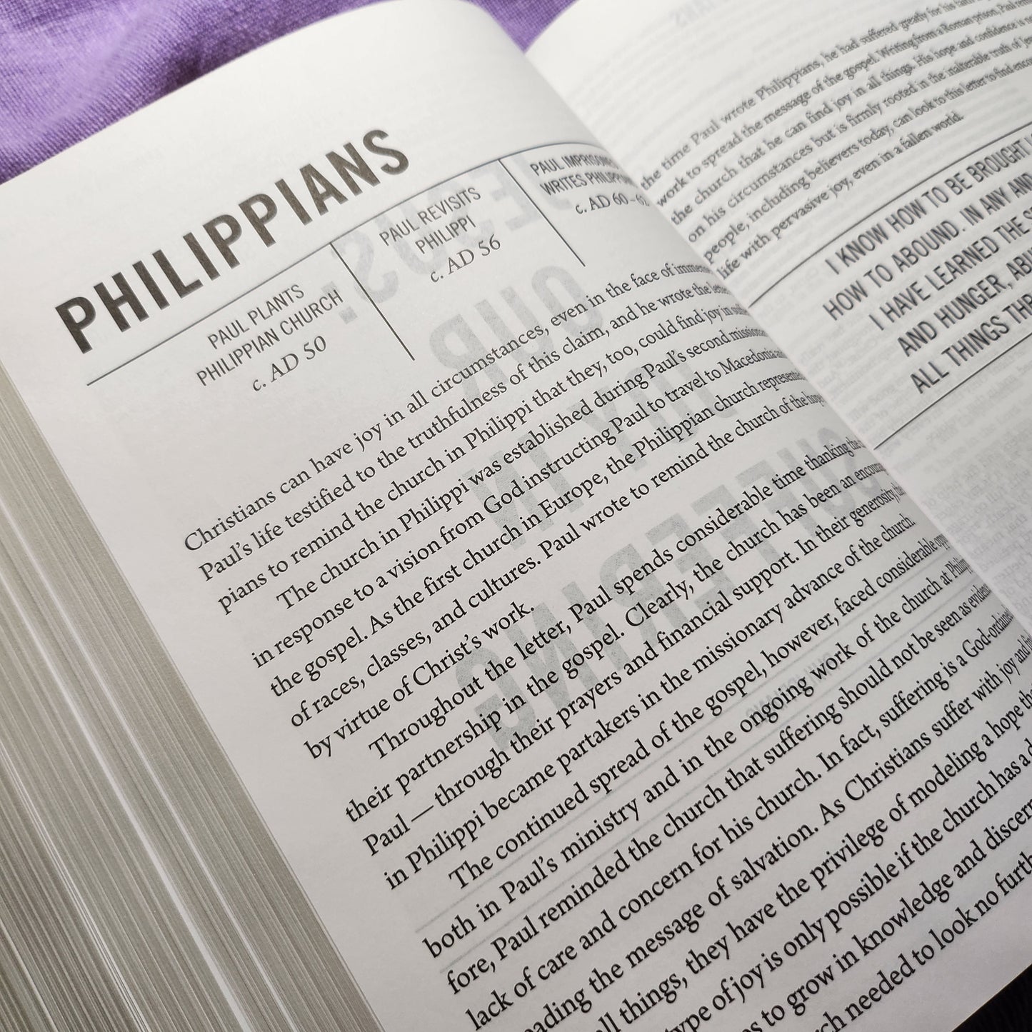 The Jesus Bible