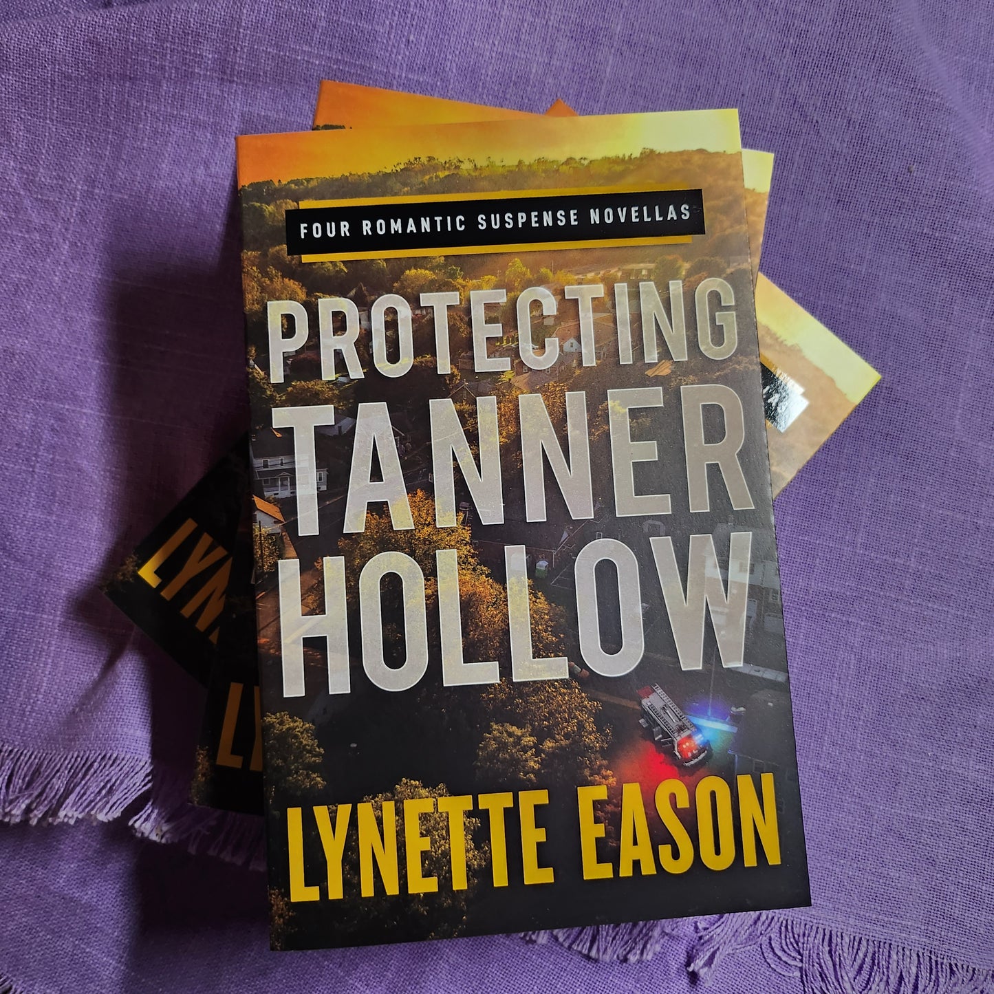 Protecting Tanner Hollow: Four Romantic Suspense Novellas