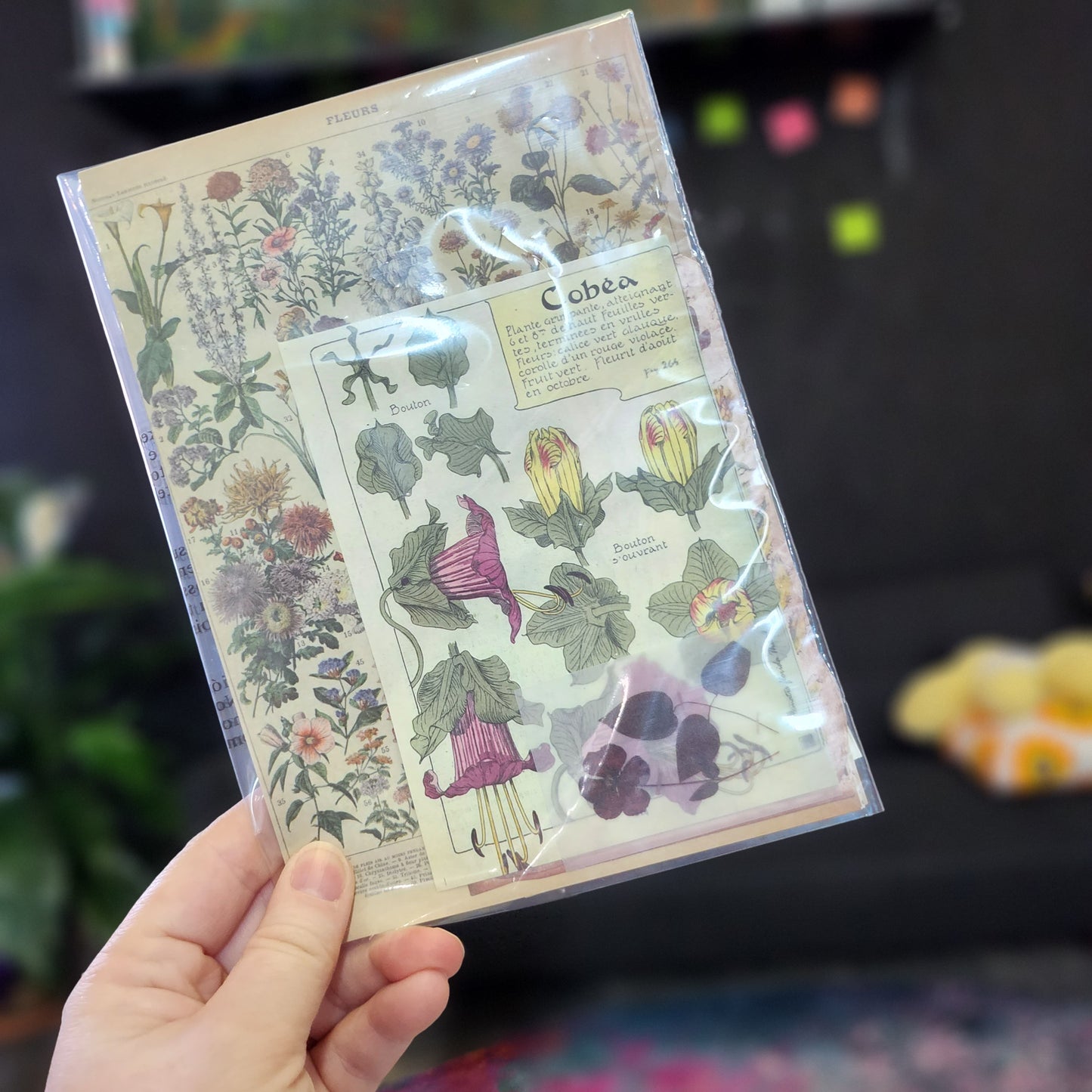Floral Paper Pack #2