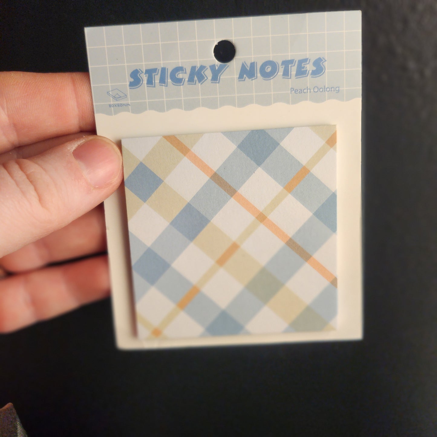 Spring Plaid Sticky Notes