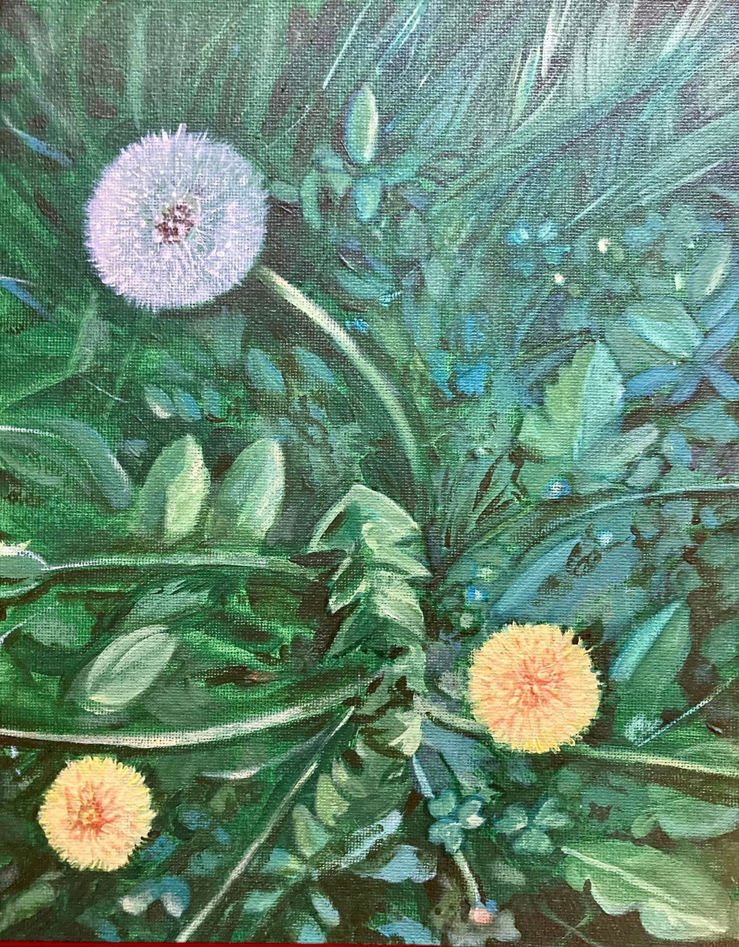 Dandelion - Megan Hale Art