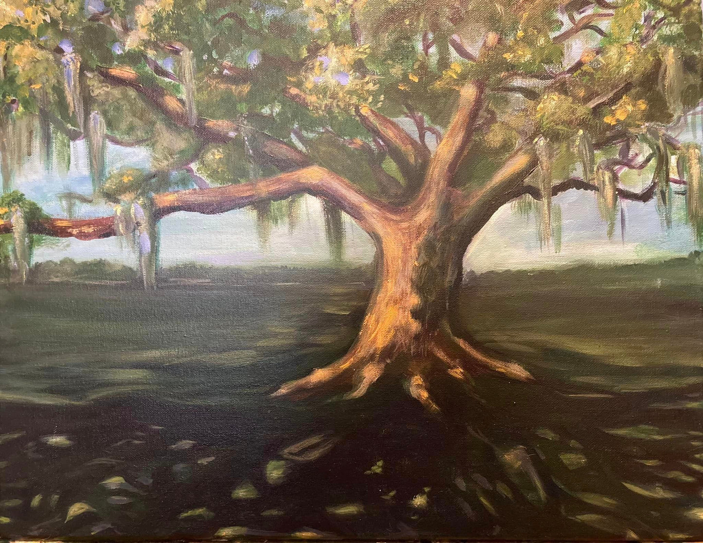 Live Oak - Megan Hale Art