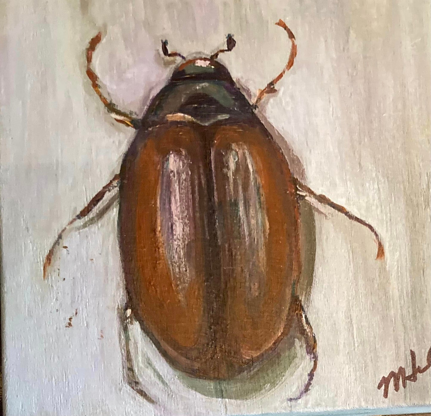 June Bug - Megan Hale Art