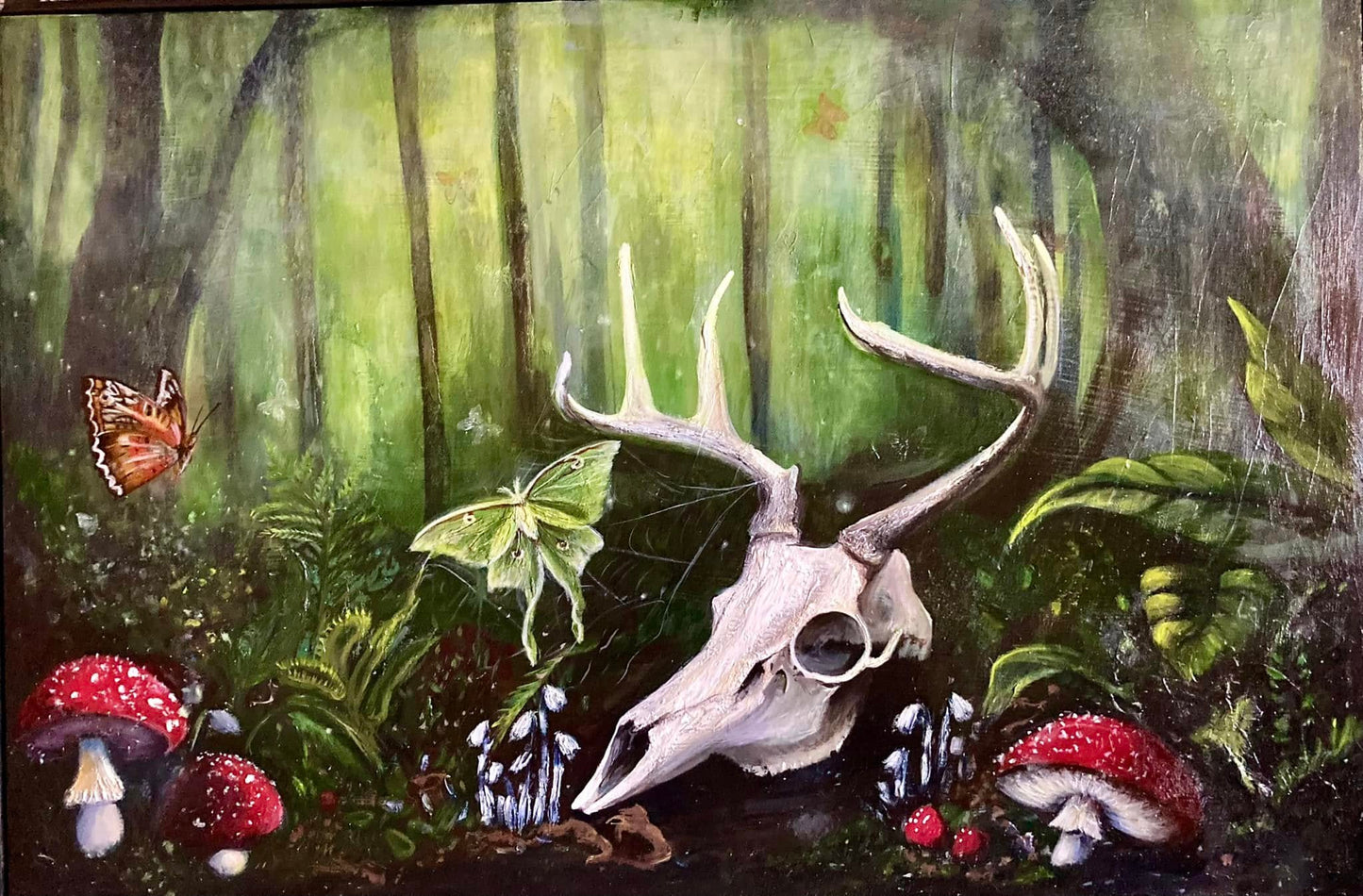 Echos Of The Forest Floor