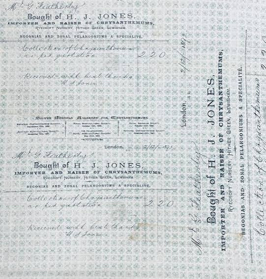 Tim Holtz - Horticulture - Aqua Fabric