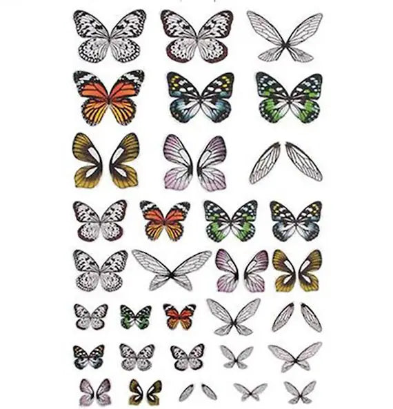 Tim Holtz idea-ology TRANSPARENT WINGS