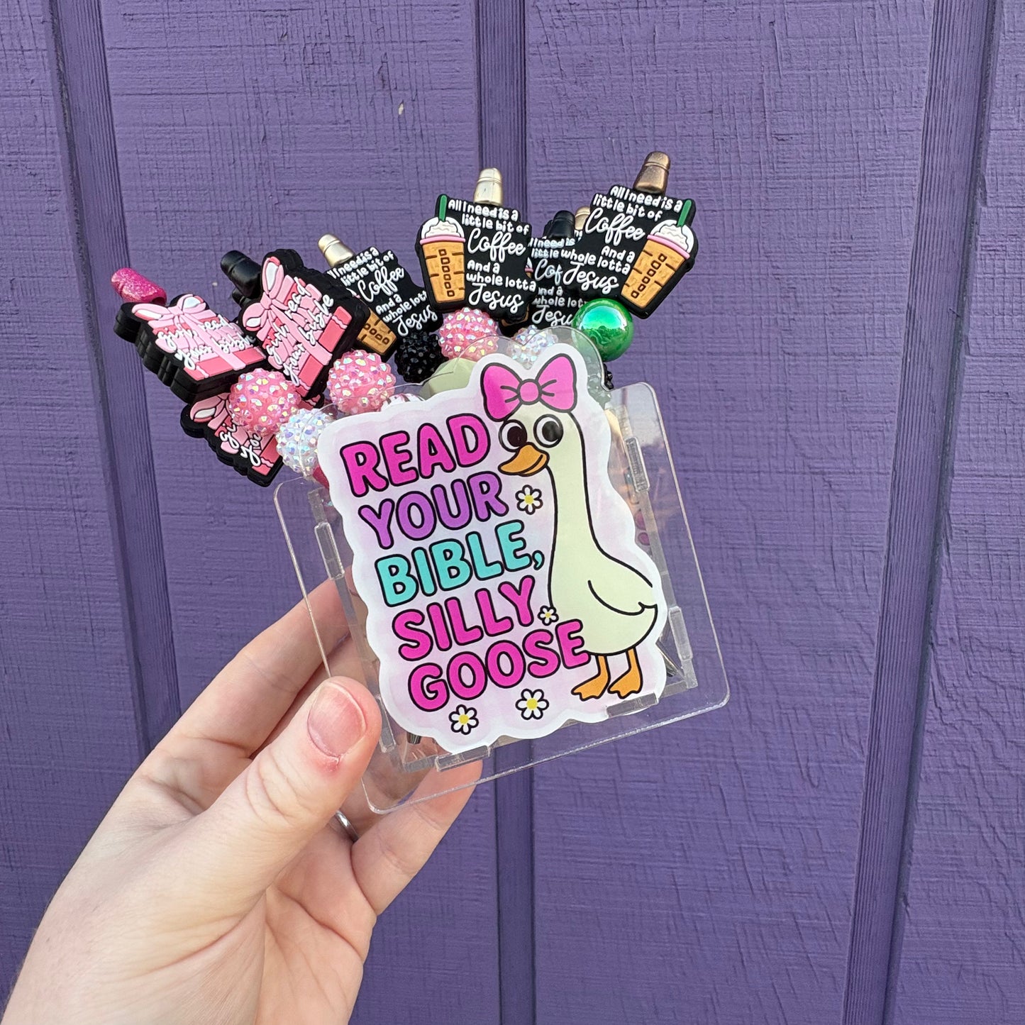 Read Your Bible Silly Goose Acrylic Pen Holder