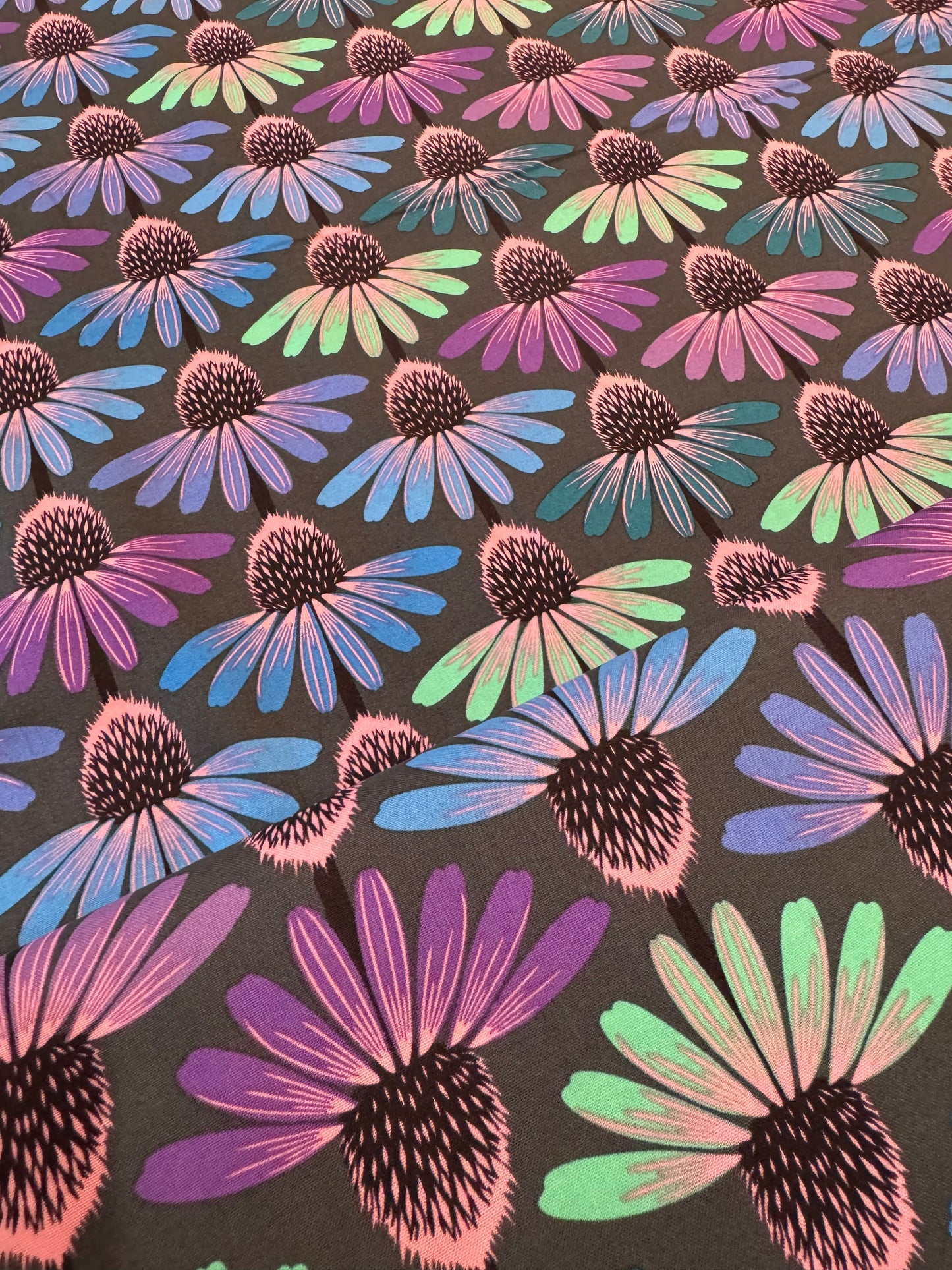 Echinacea Glow - Amethyst