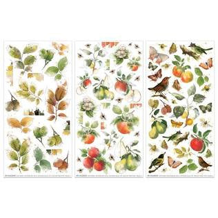 49 & Market | Vintage Orchard - Botanical Rub-Ons