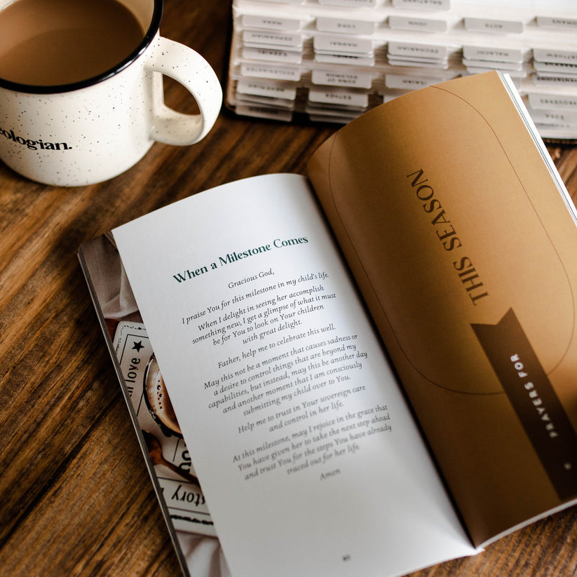 Prayers for Your Day - Men's Prayer Journal