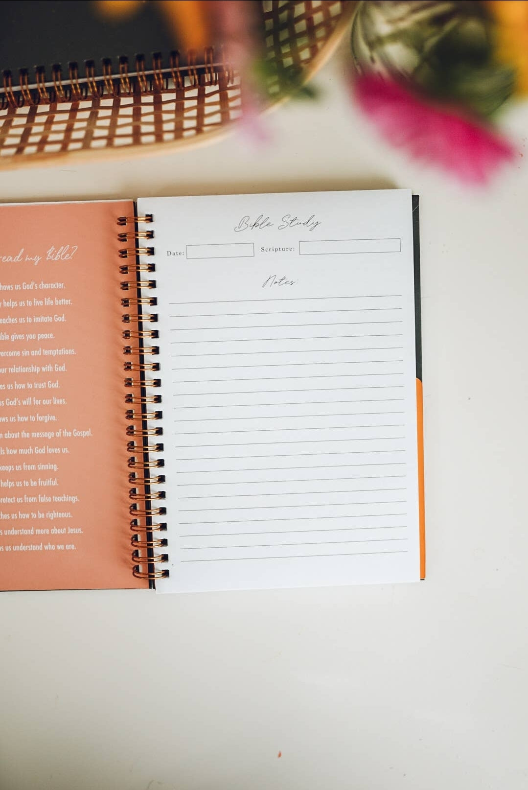 Abide Prayer & Bible Study Journal