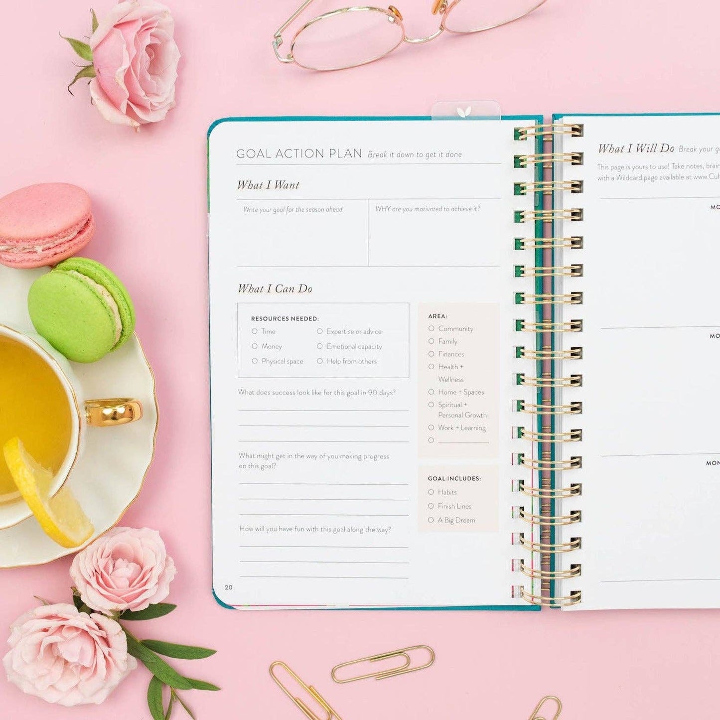 Fresh Start Daily Goal Planner® | Undated (Ivy Spiral)
