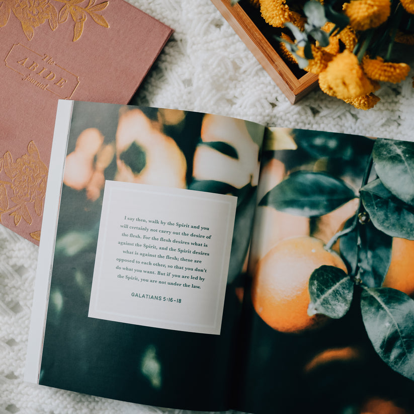 The Fruit Of The Spirit Bible Study