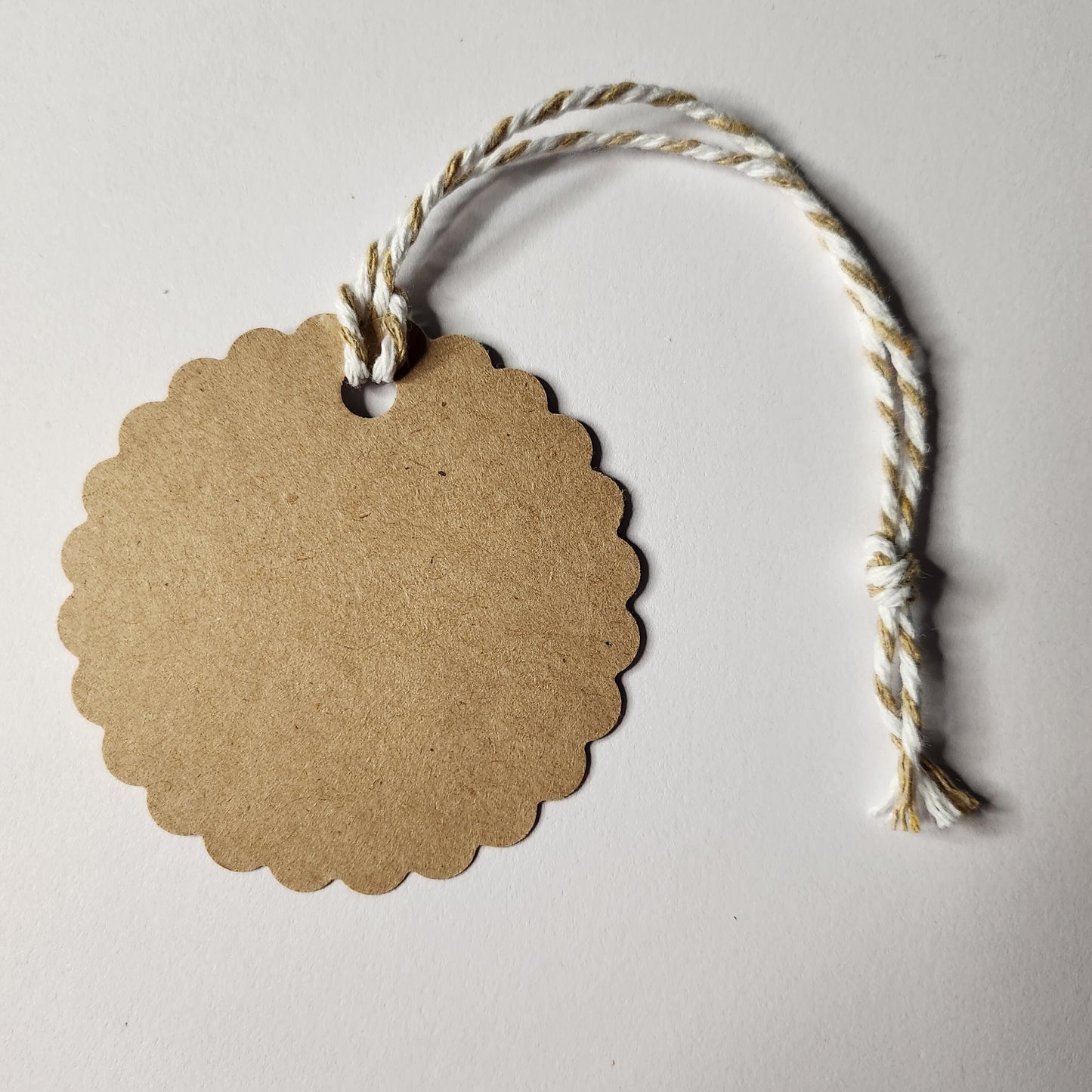 Merry Christmas Green Gift Tag Set Of 20