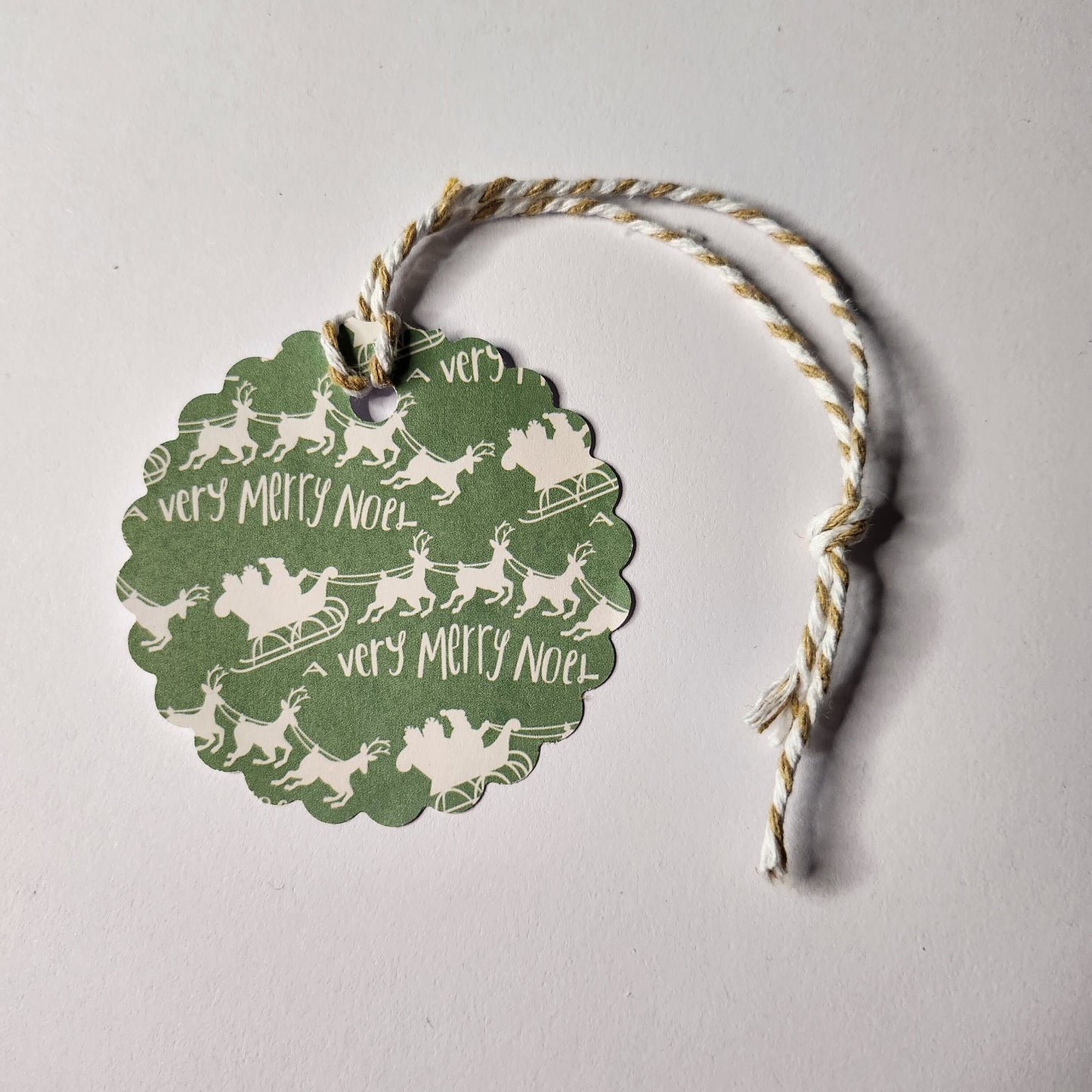 Merry Christmas Green Gift Tag Set Of 20