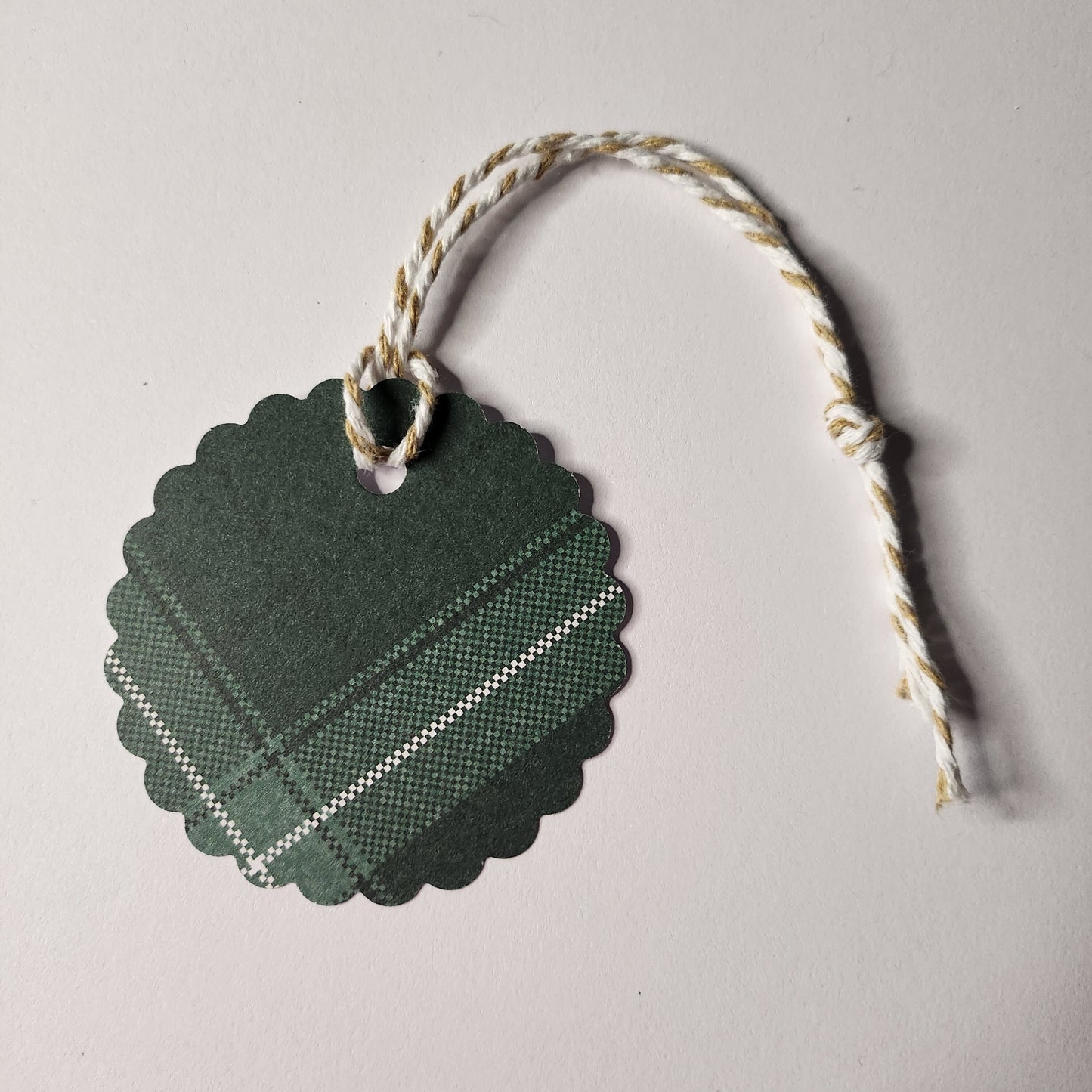 Merry Christmas Green Gift Tag Set Of 20