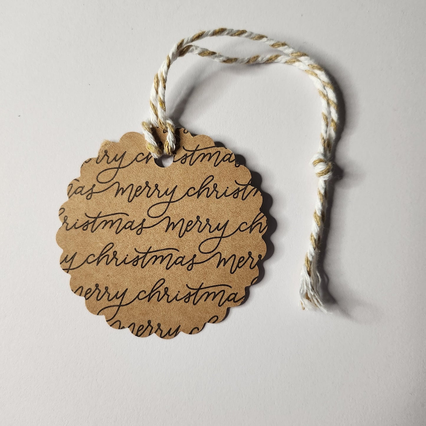Merry Christmas Green Gift Tag Set Of 20