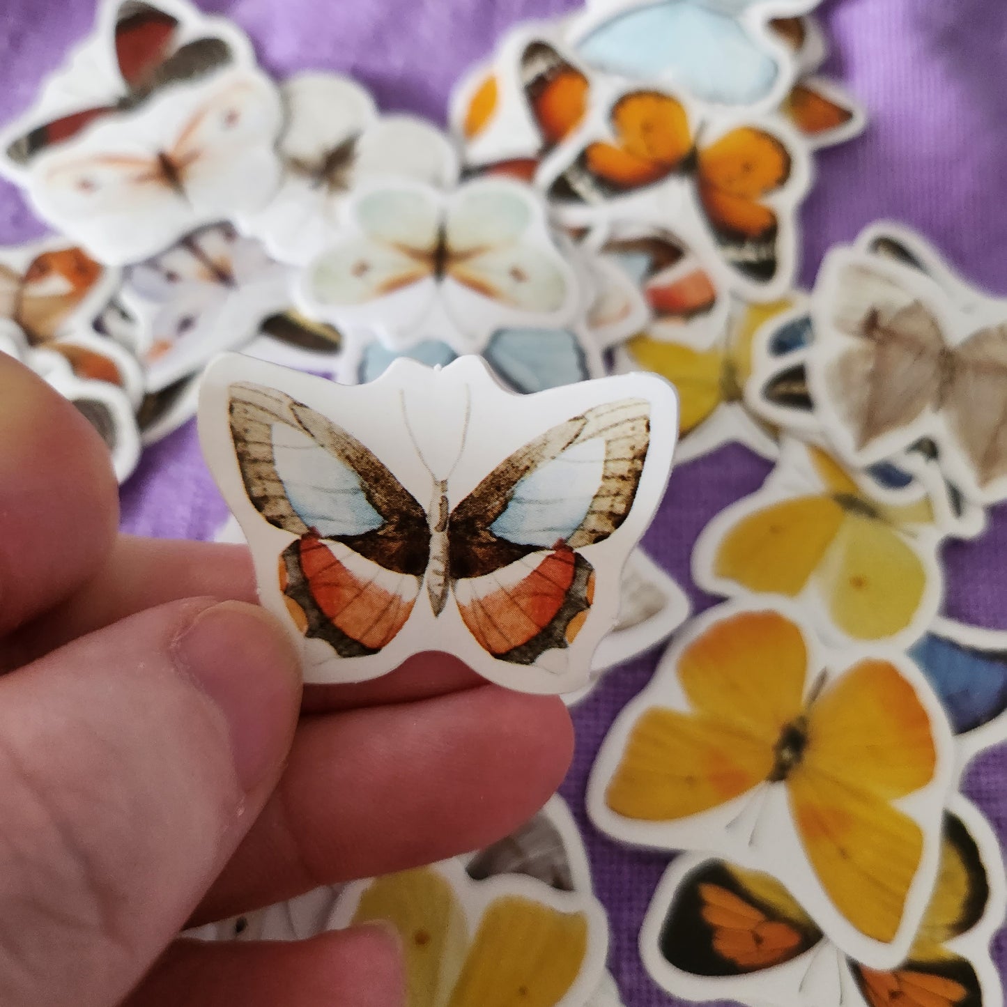 Small Butterfly Stickers