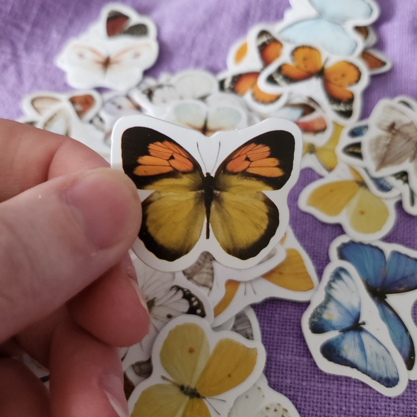 Small Butterfly Stickers