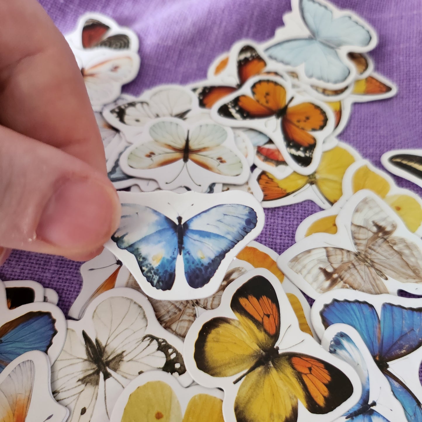 Small Butterfly Stickers