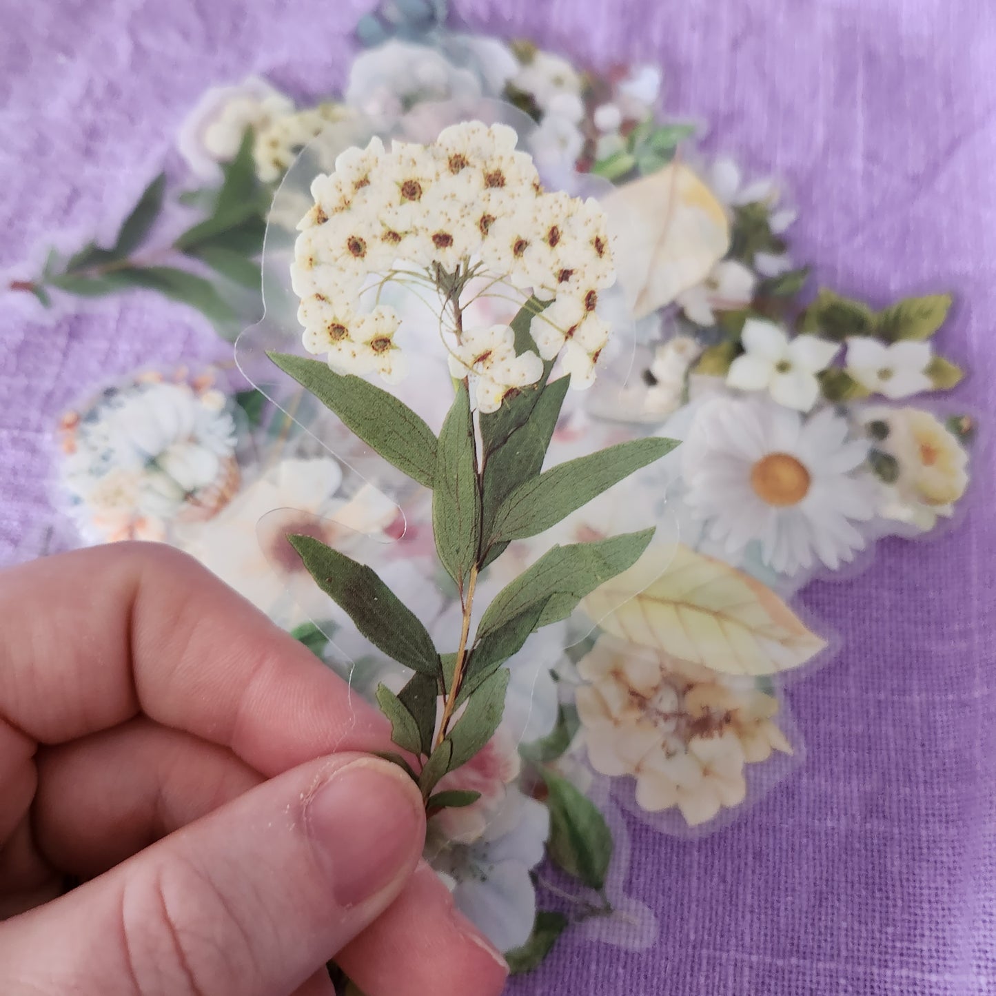 White Botanical Stickers