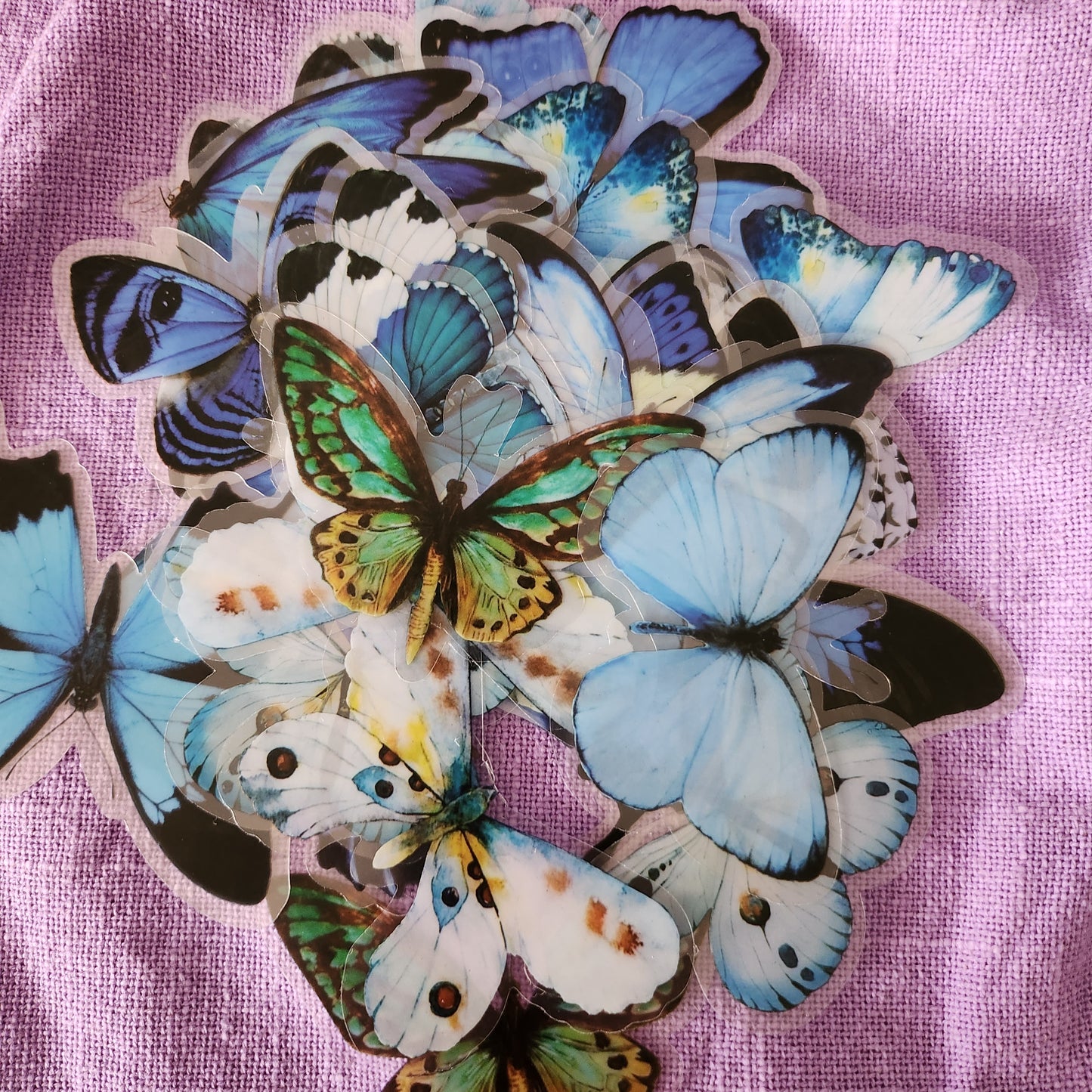 Extra Large Blue Butterfly Stickers