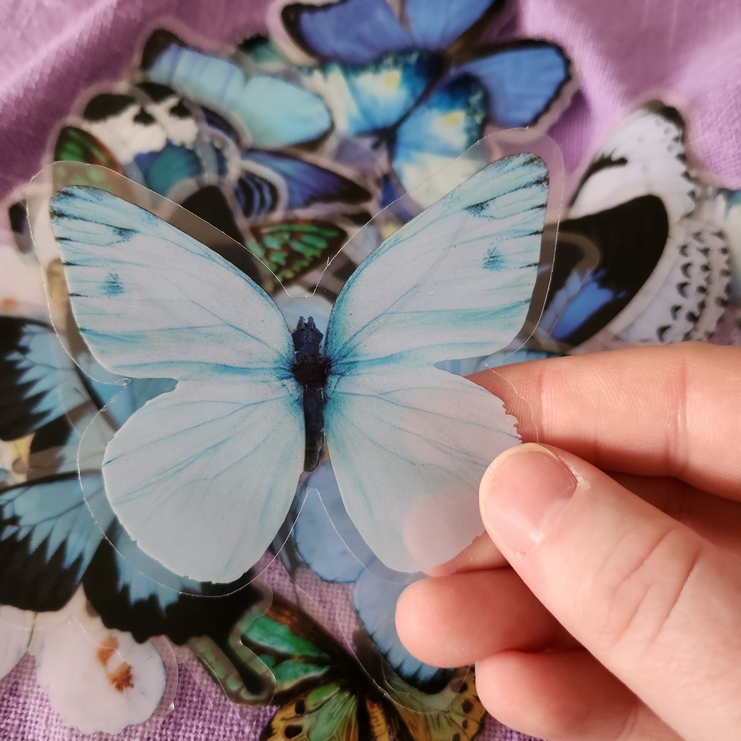 Extra Large Blue Butterfly Stickers