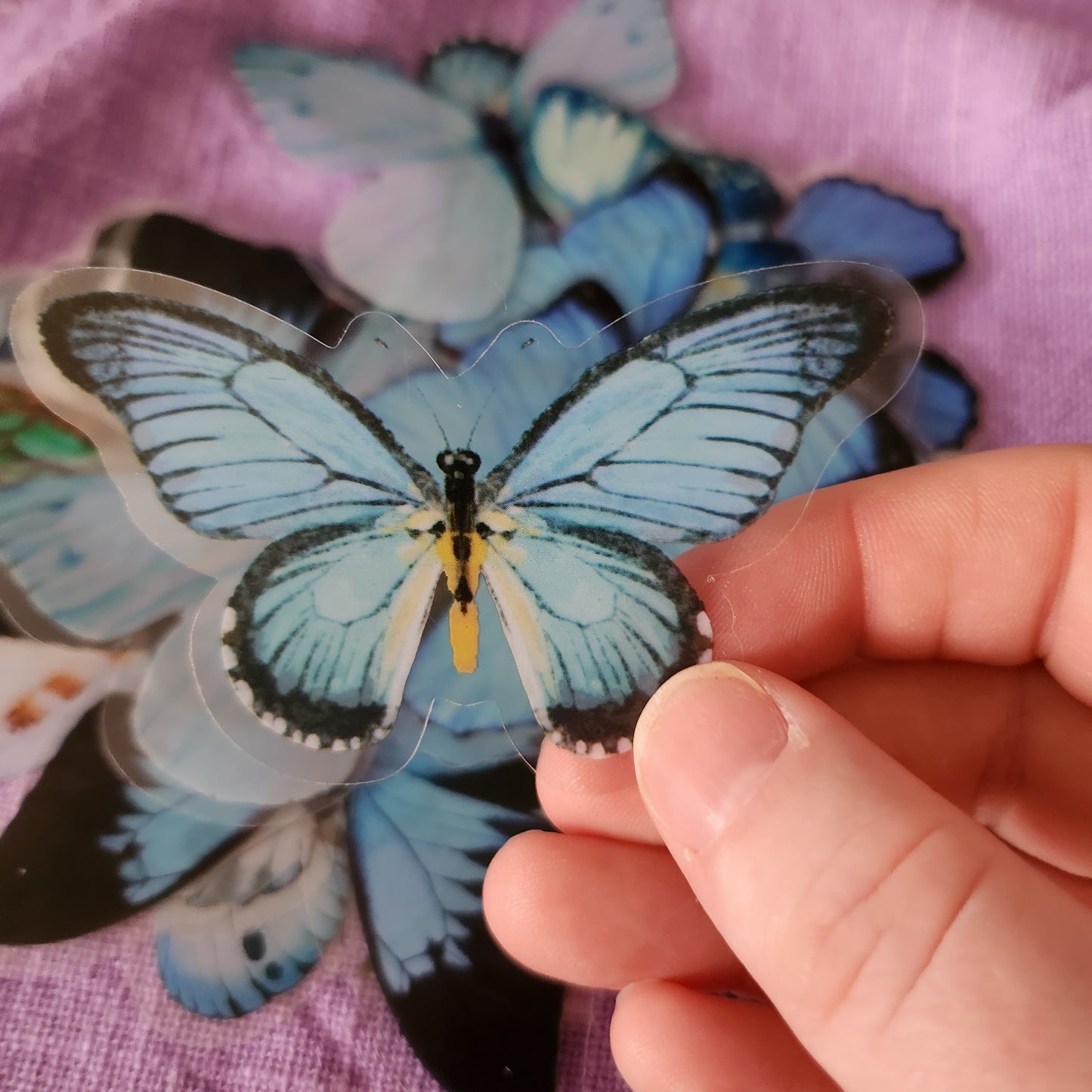 Extra Large Blue Butterfly Stickers