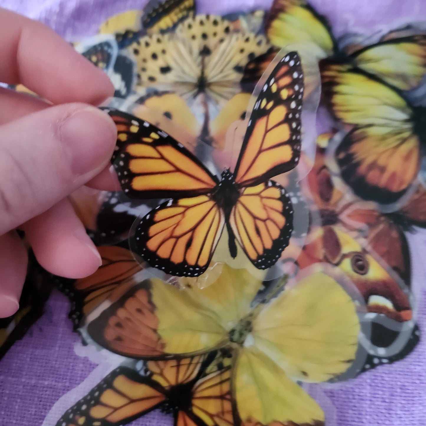 Extra Large Yellow And Orange Butterfly Stickers