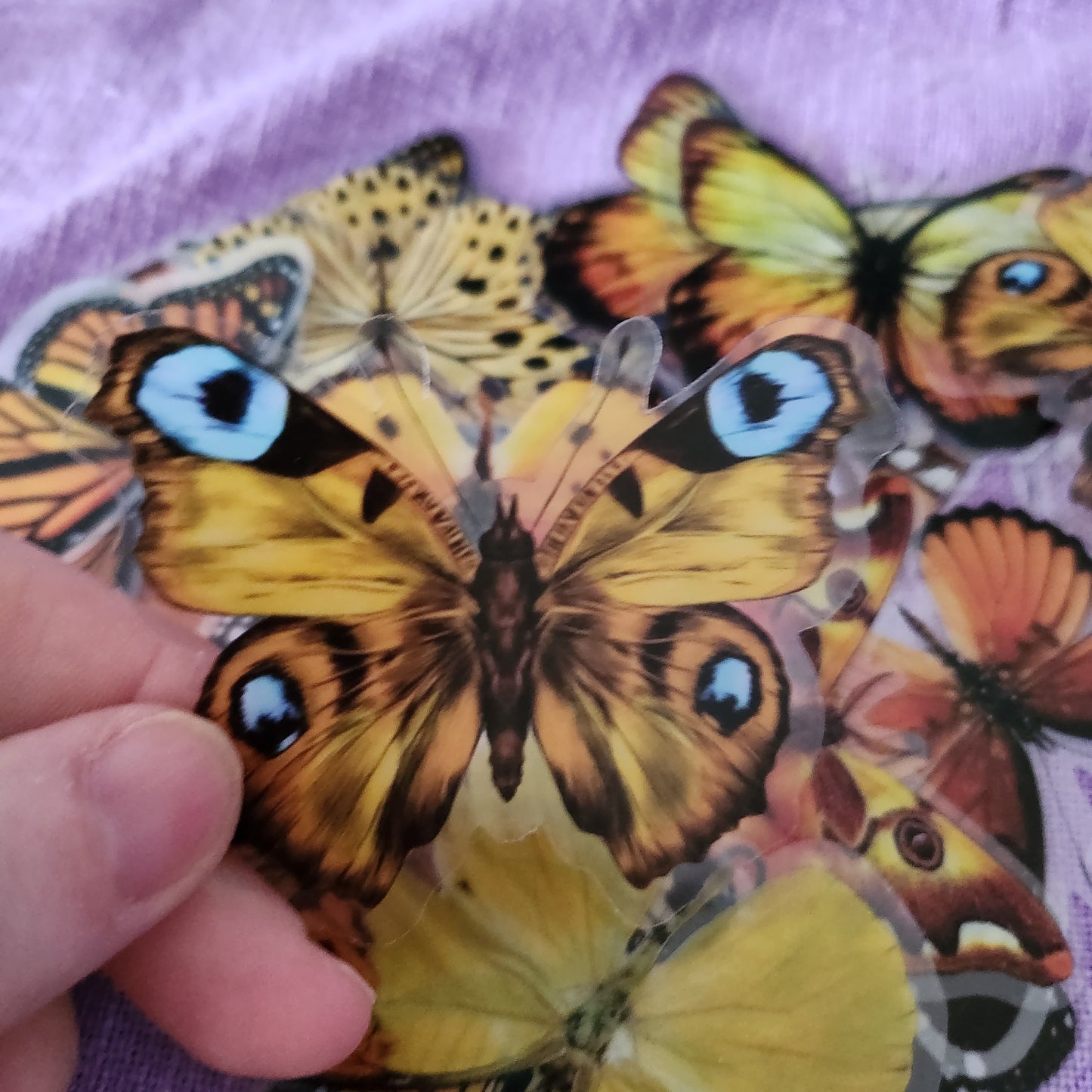 Extra Large Yellow And Orange Butterfly Stickers