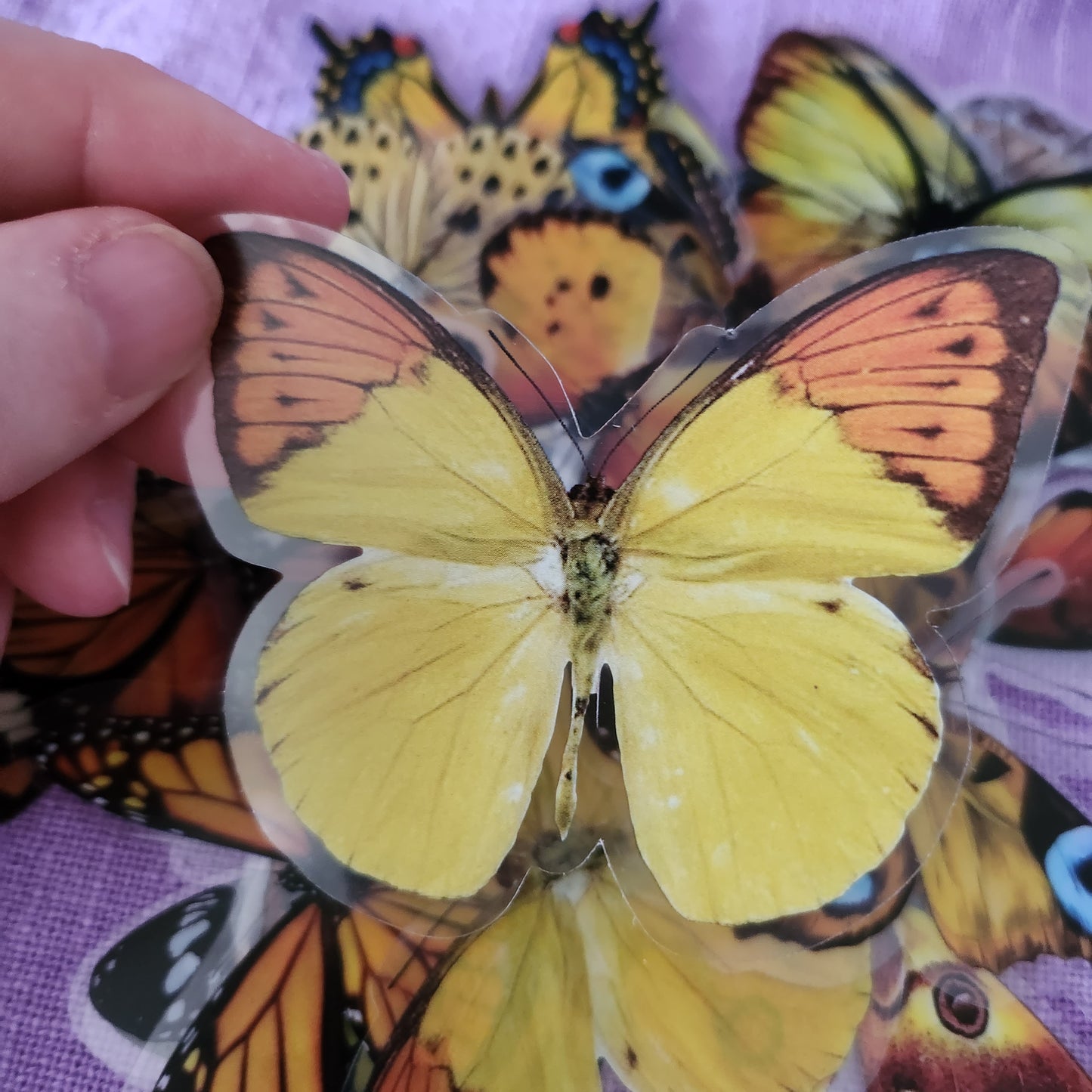 Extra Large Yellow And Orange Butterfly Stickers