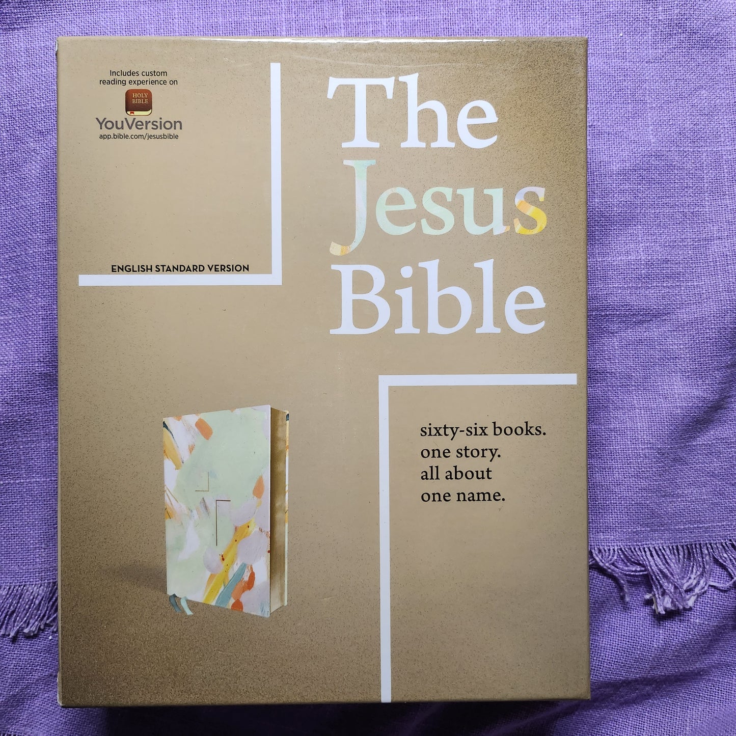 The Jesus Bible Artist Edition, ESV, Leathersoft, Multi-color/Teal