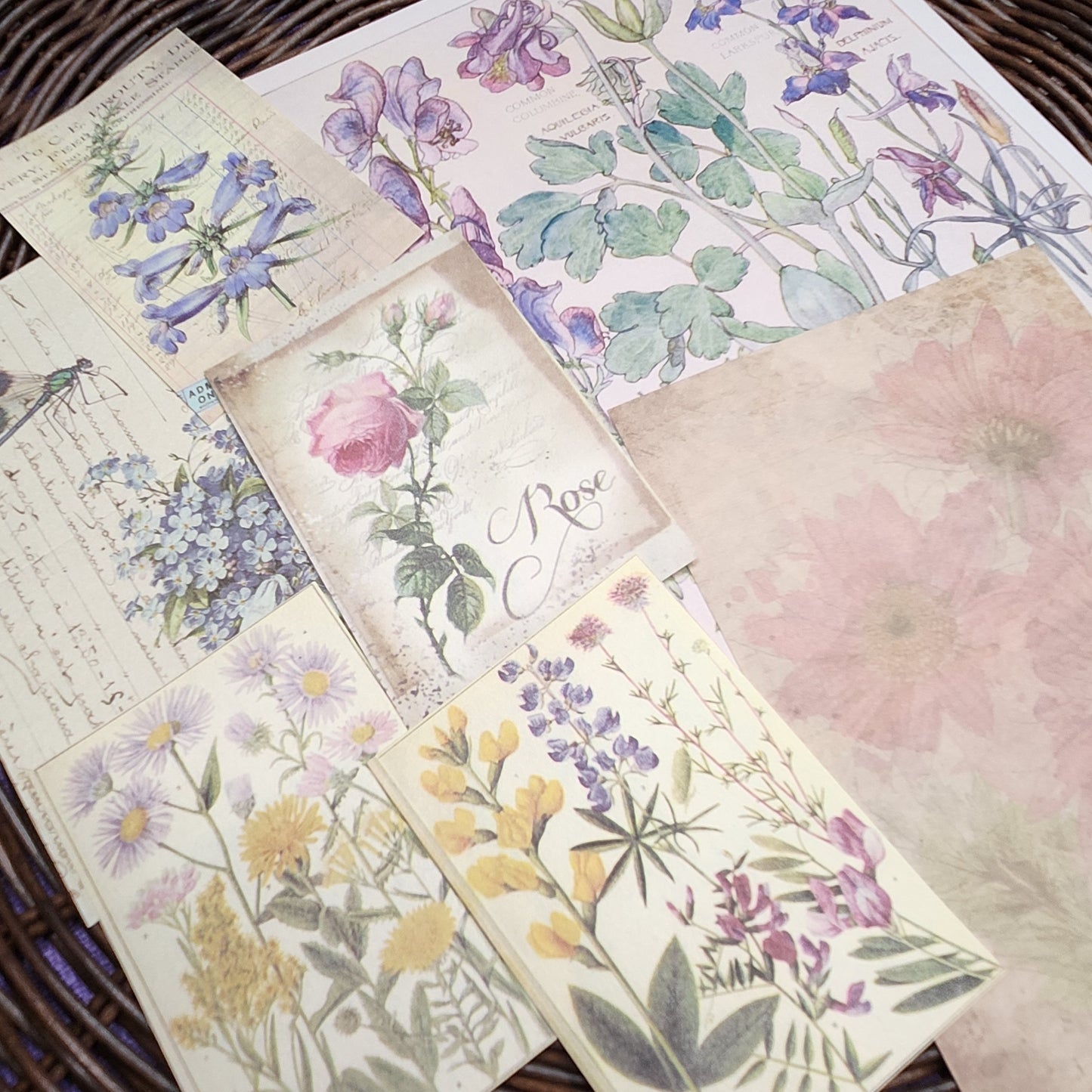 Floral and Butterfly Paper Pack