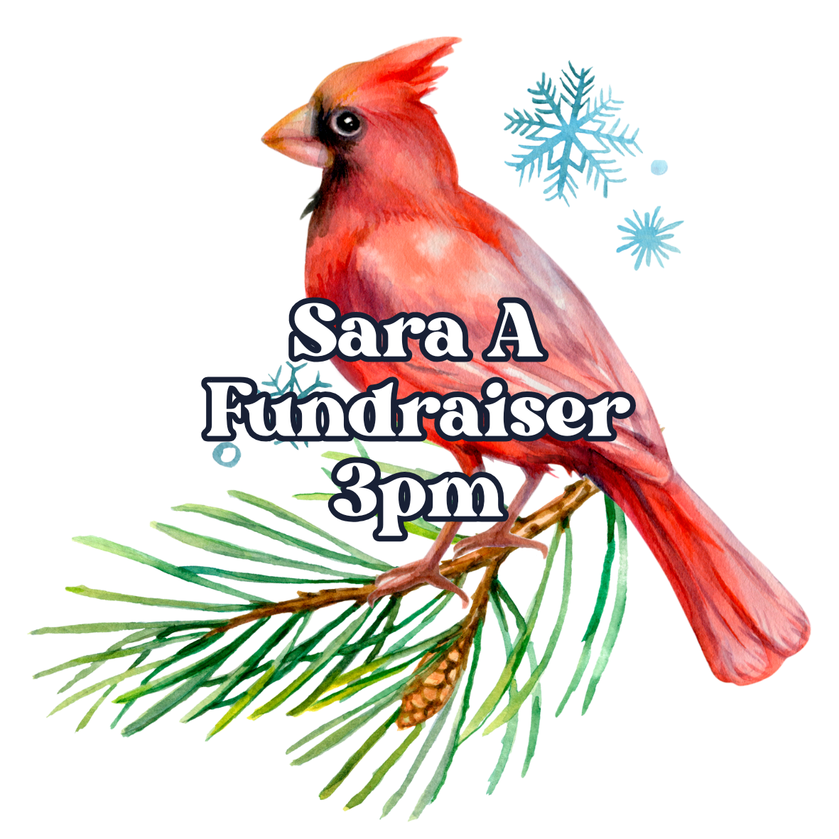 Sara Mizell Andries Fundraiser