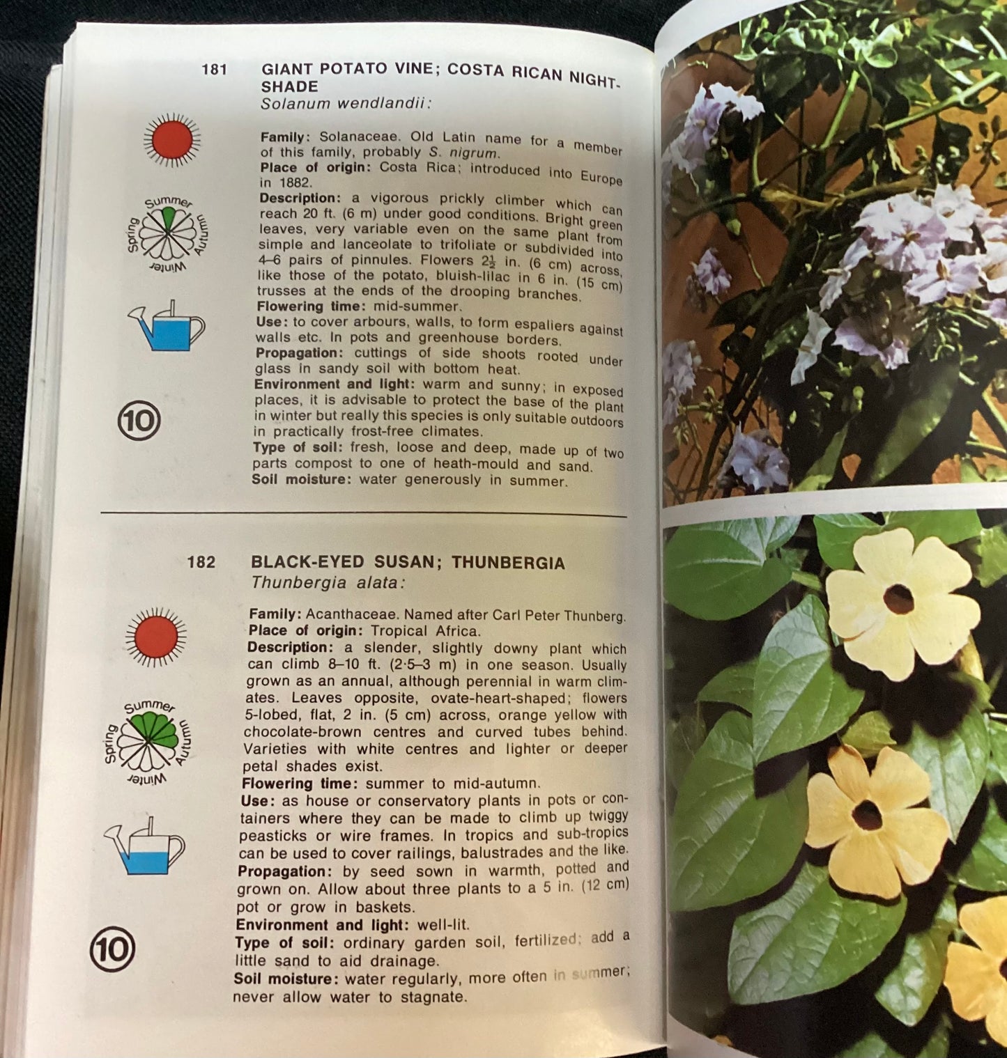 Simon & Schuster’s Guide Plants and Flowers