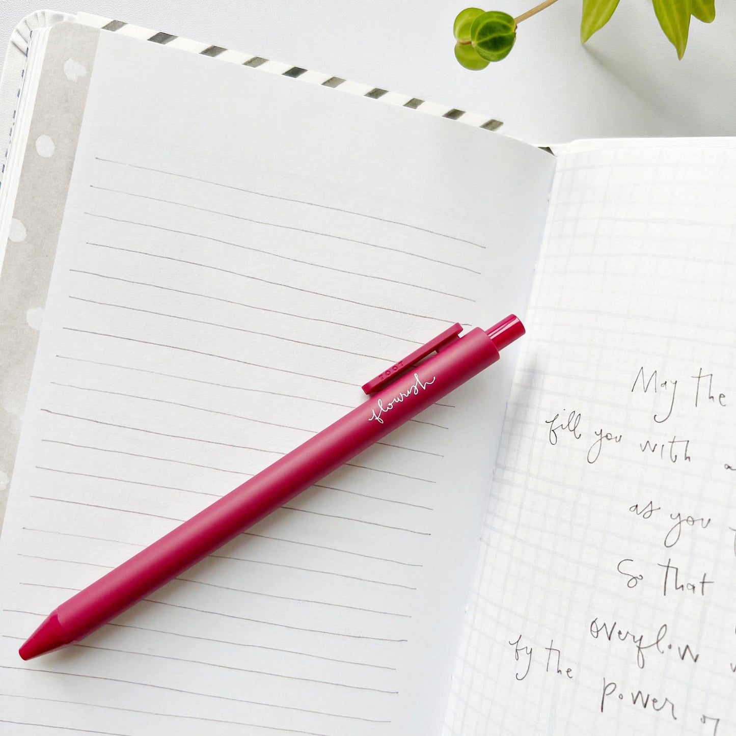 Jotter pen • Emily Alex