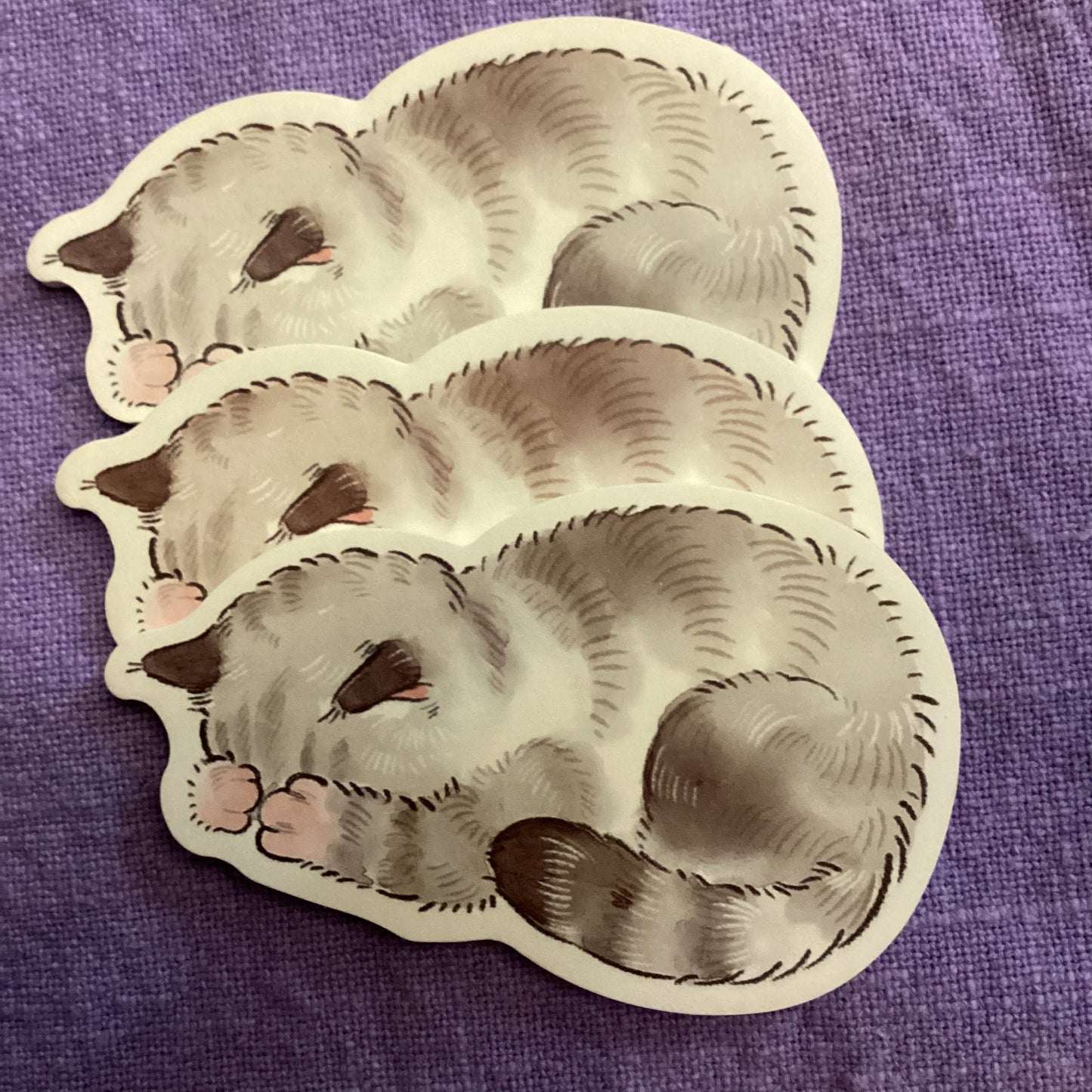 Sleepy Kitty Sticky Note