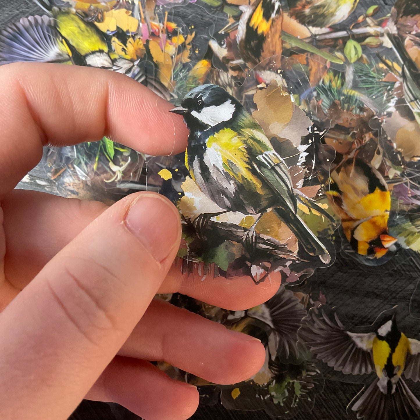 Black And Yellow Bird Stickers