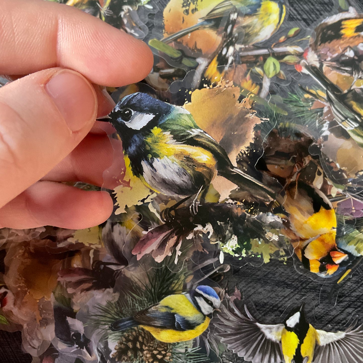 Black And Yellow Bird Stickers