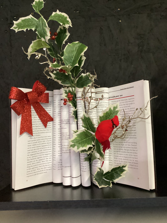 Cardinal Book Decor