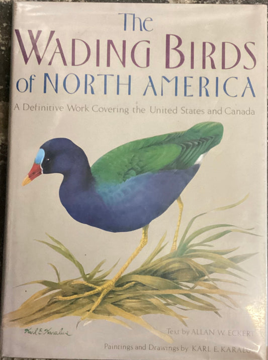 The wading birds of North America