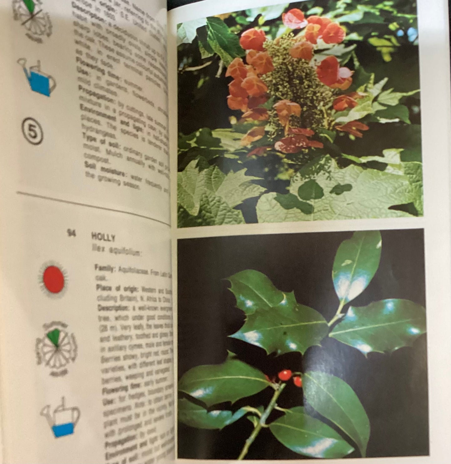 Simon & Schuster’s Guide Plants and Flowers