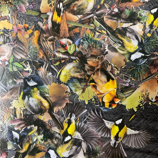 Black And Yellow Bird Stickers