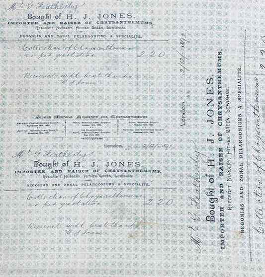 Tim Holtz - Horticulture - Aqua Fabric