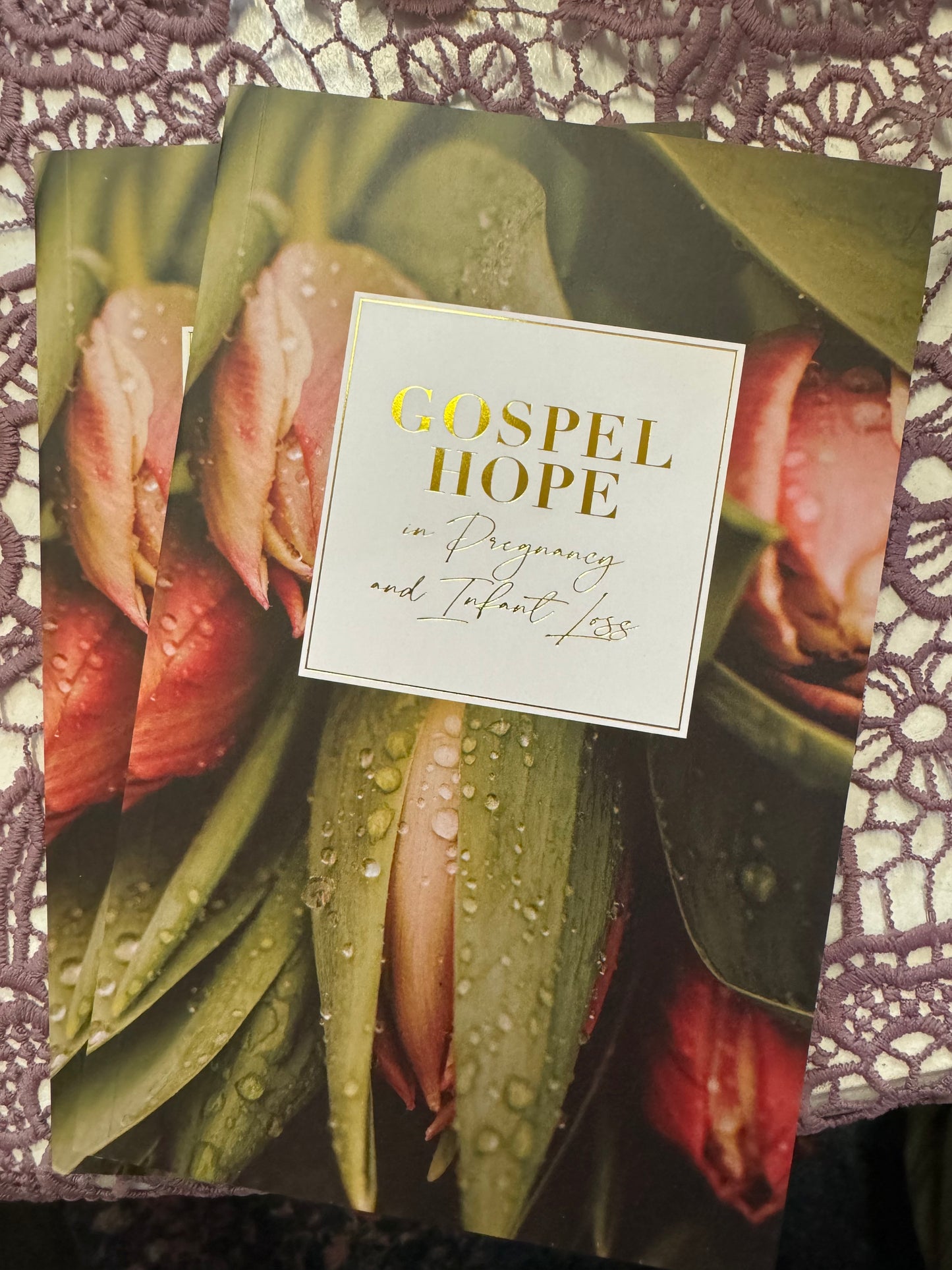 Gospel Hope, Pregnancy & Infant Loss