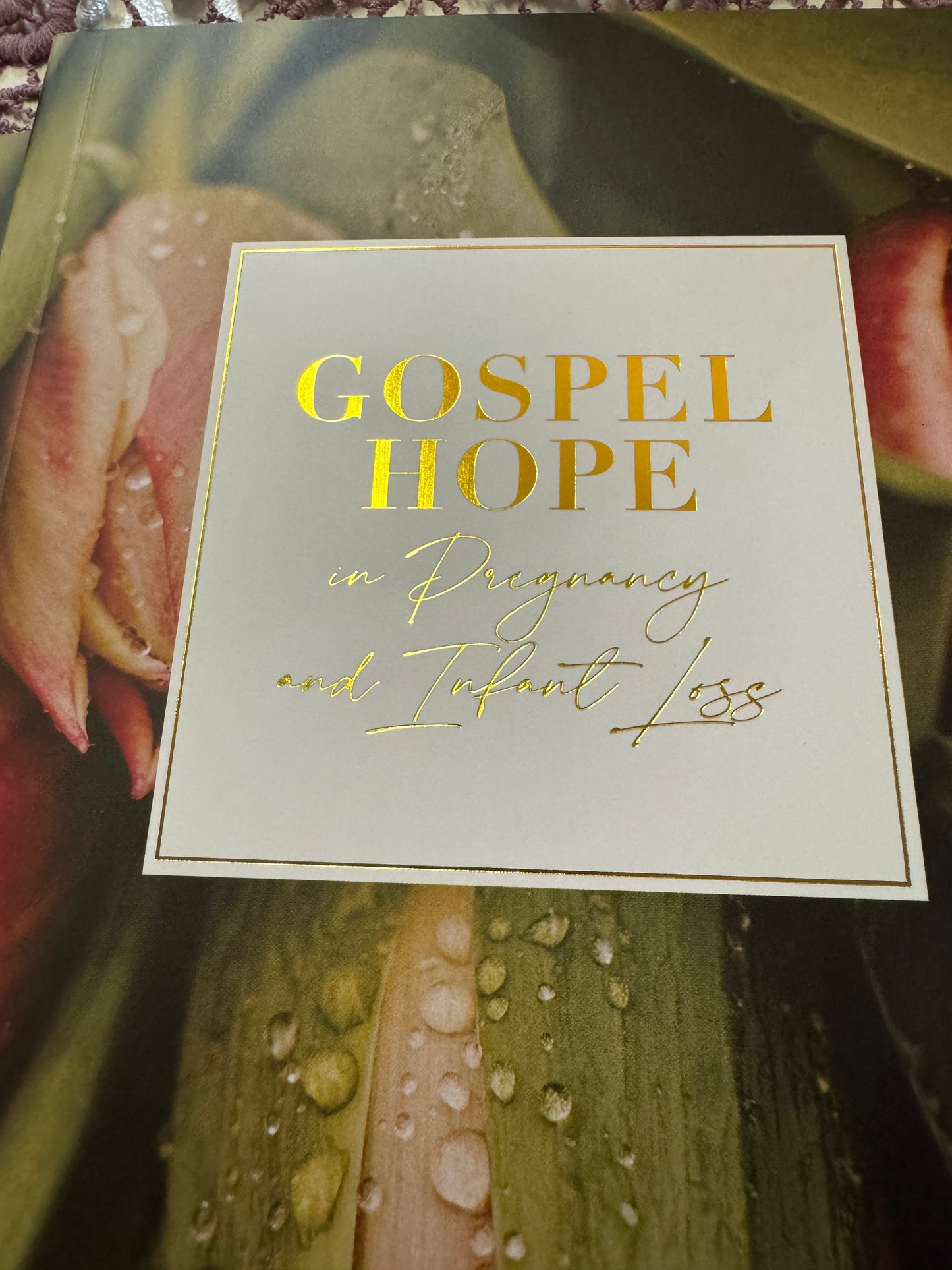 Gospel Hope, Pregnancy & Infant Loss