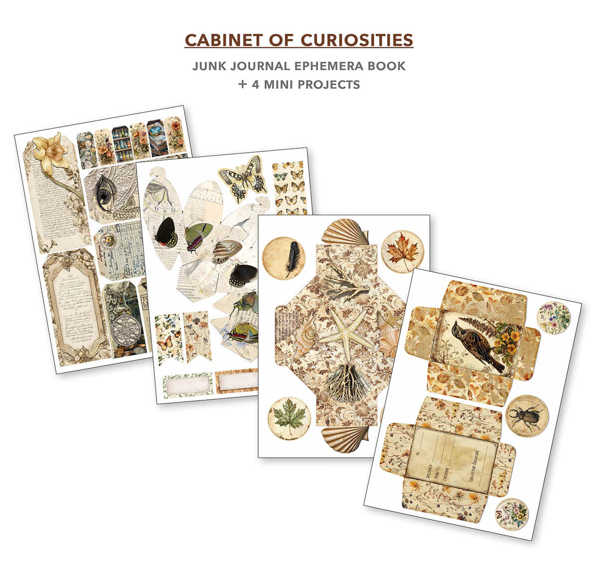 Cabinet Of Curiosities Junk Journal & Ephemera Book A4 32/Pk